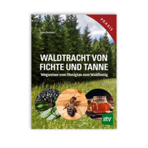 WALDTRACHT-VON-FICHTE-UND-TANNE.png